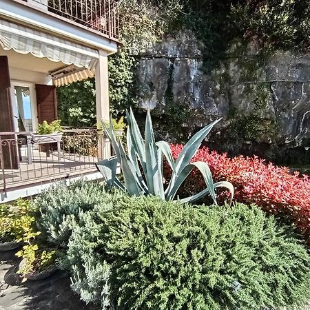 Citrus Apartment Brenzone Brenzone sul Garda Exterior foto